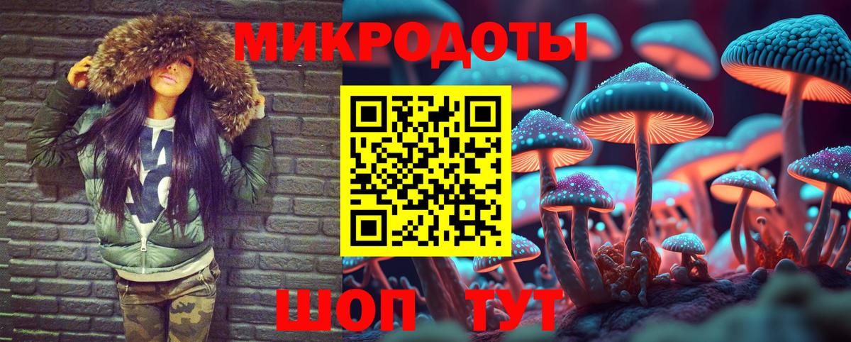 Псилоцибиновые грибы Psilocybe Удомля