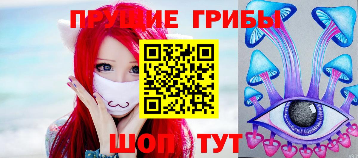 Удомля  Псилоцибиновые грибы Cubensis  Вход с VPN 
